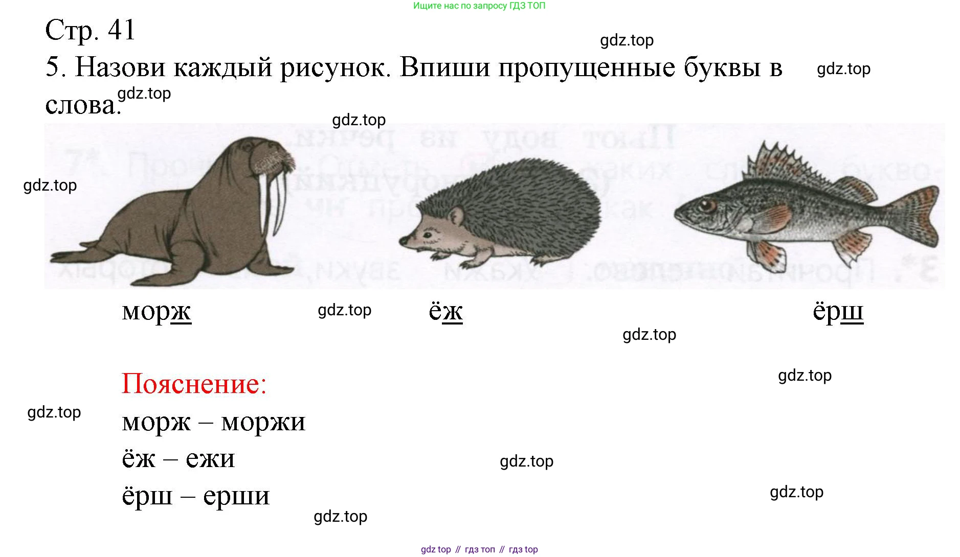Русский язык, 1 класс Тетрадь учебных достижений, автор: Канакина Валентина Павловна, издательство Просвещение, Москва, 2023, белого цвета, страница 41, номер 5, Решение