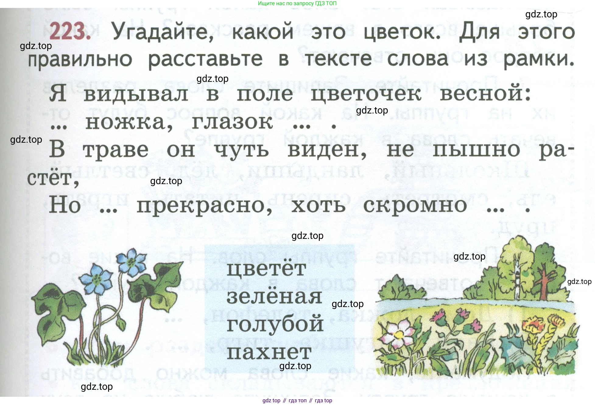 Русский язык, 1 класс Учебник, авторы: Климанова Людмила Федоровна, Макеева Светлана Григорьевна, Бабушкина Татьяна Владимировна, издательство Просвещение, Москва, 2023, белого цвета, страница 119, номер 223, Условие 2023