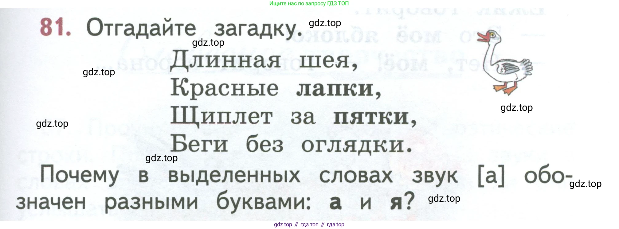 Русский язык, 1 класс Учебник, авторы: Климанова Людмила Федоровна, Макеева Светлана Григорьевна, Бабушкина Татьяна Владимировна, издательство Просвещение, Москва, 2023, белого цвета, страница 49, номер 81, Условие 2023