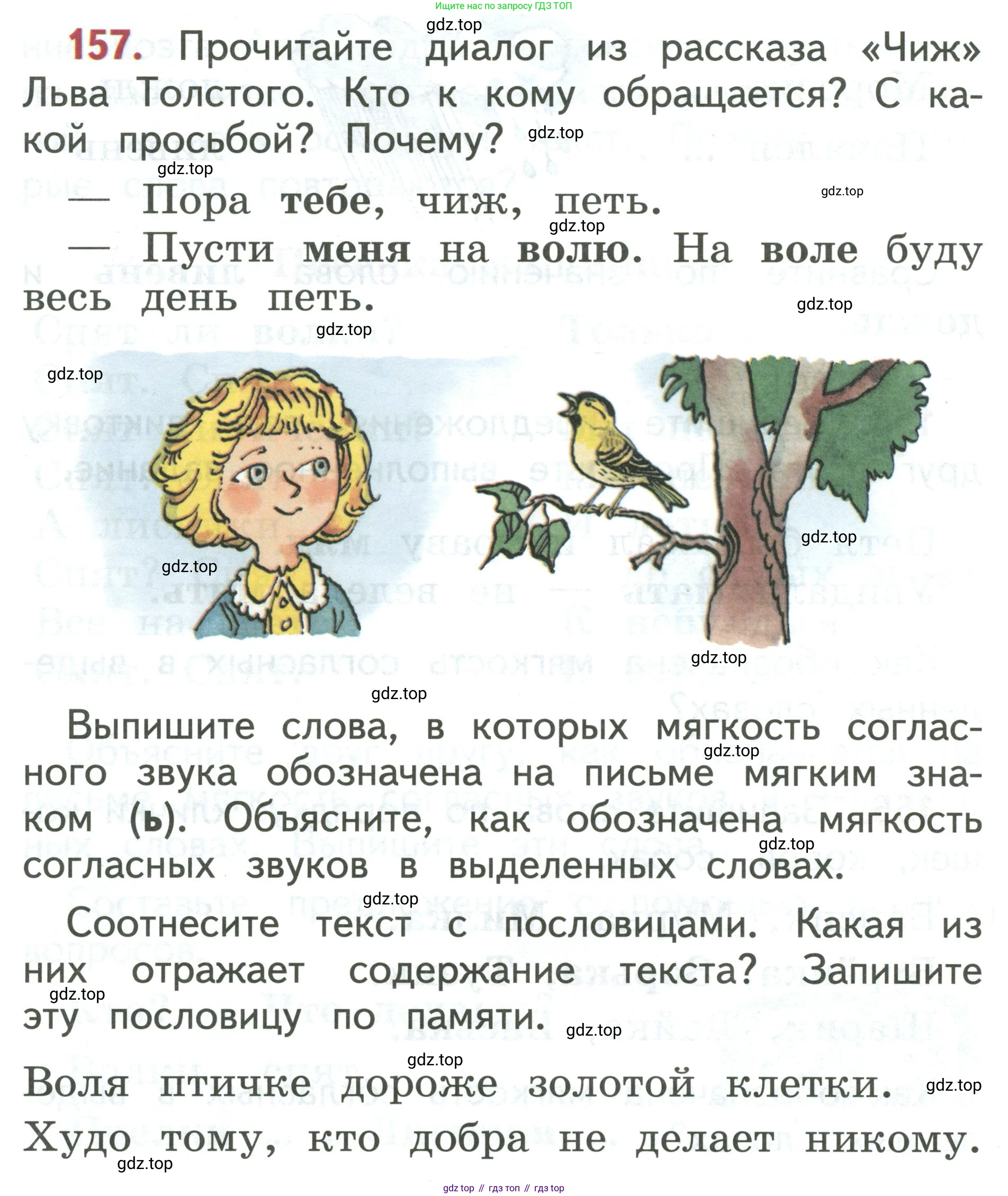 Русский язык, 1 класс Учебник, авторы: Климанова Людмила Федоровна, Макеева Светлана Григорьевна, Бабушкина Татьяна Владимировна, издательство Просвещение, Москва, 2023, белого цвета, страница 84, номер 157, Условие 2019-2022