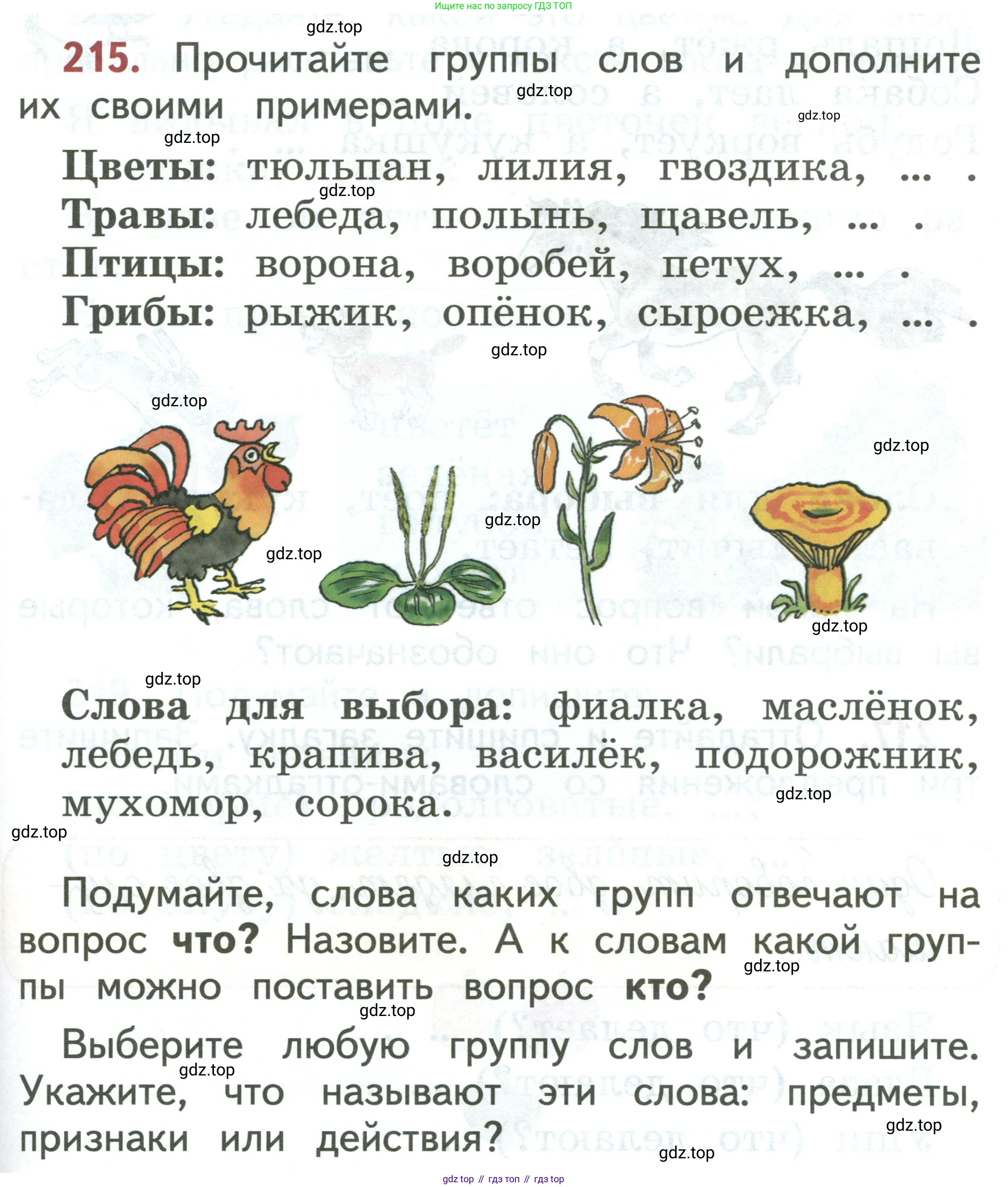 Русский язык, 1 класс Учебник, авторы: Климанова Людмила Федоровна, Макеева Светлана Григорьевна, Бабушкина Татьяна Владимировна, издательство Просвещение, Москва, 2023, белого цвета, страница 113, номер 215, Условие 2019-2022