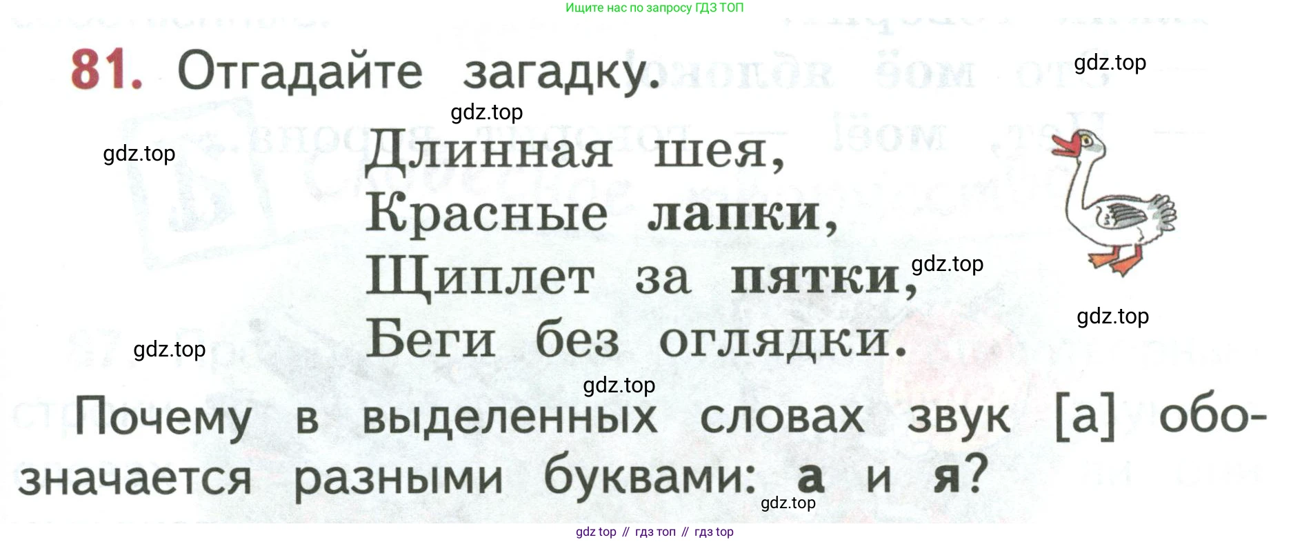 Русский язык, 1 класс Учебник, авторы: Климанова Людмила Федоровна, Макеева Светлана Григорьевна, Бабушкина Татьяна Владимировна, издательство Просвещение, Москва, 2023, белого цвета, страница 49, номер 81, Условие 2019-2022