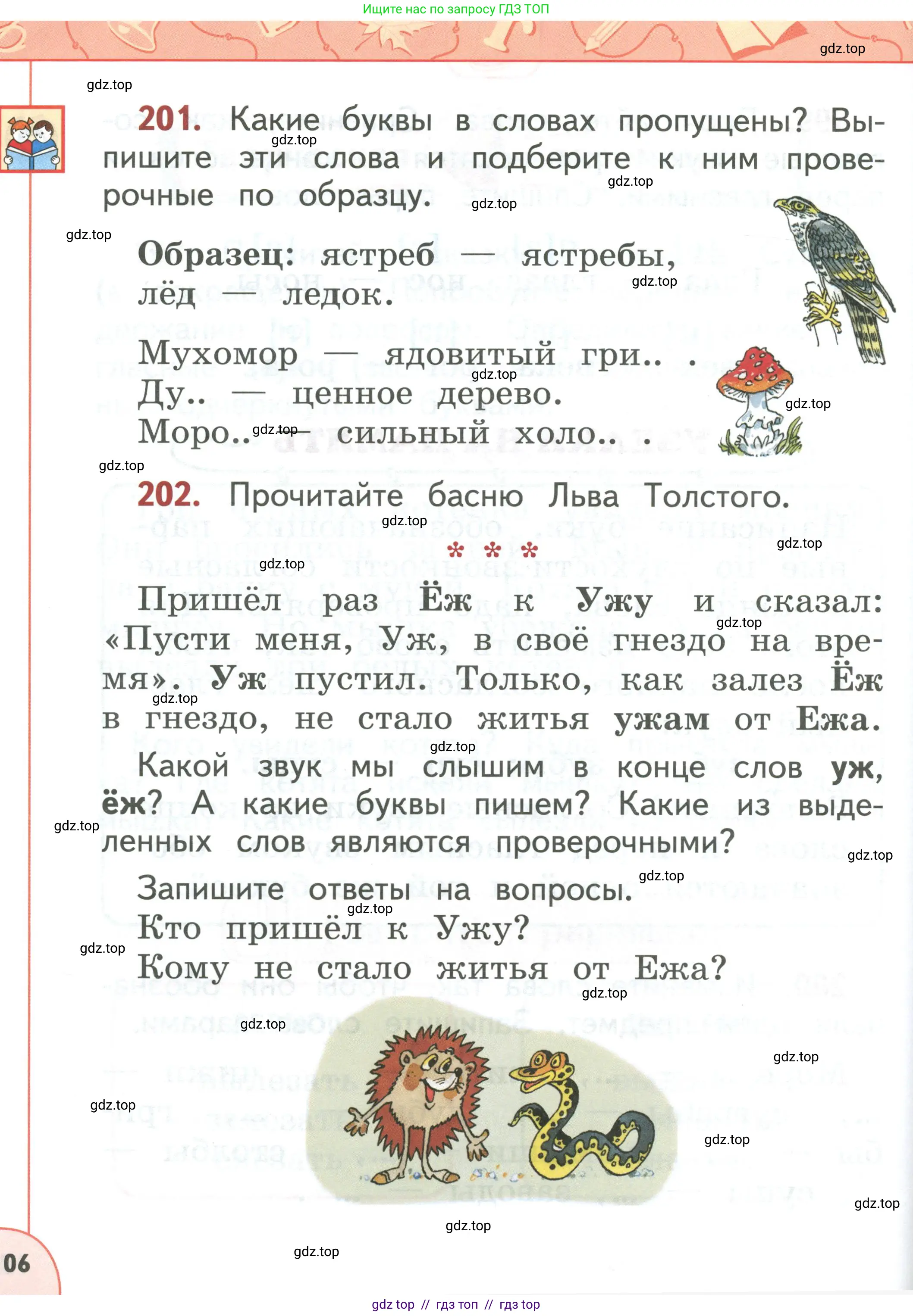Условие 2019-2022