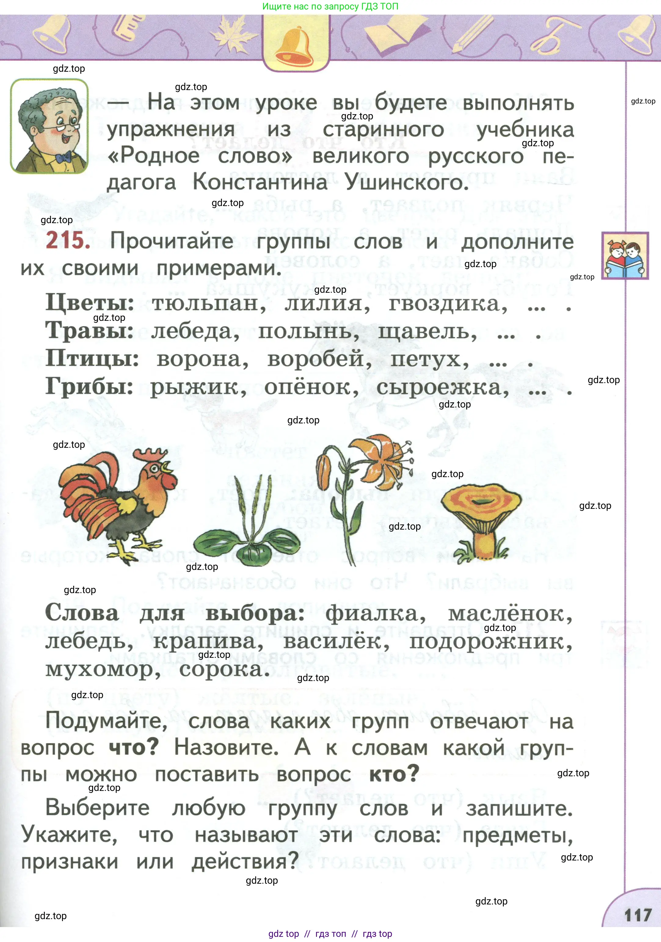 Условие 2019-2022