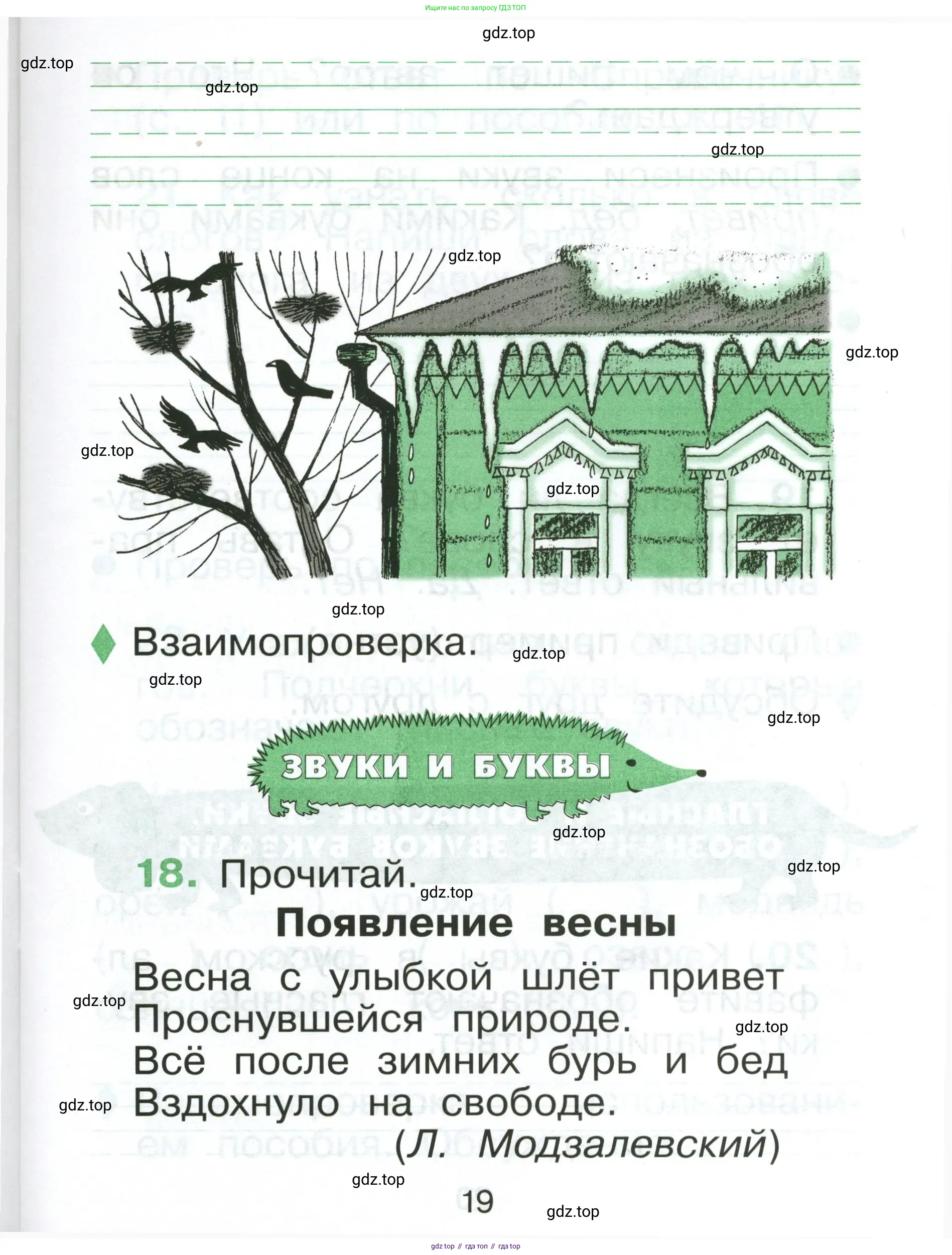 Русский язык, 1 класс рабочая тетрадь, авторы: Рамзаева Тамара Григорьевна, Савинкина Людмила Павловна, издательство Просвещение, Москва, 2023, зелёного цвета, страница 19