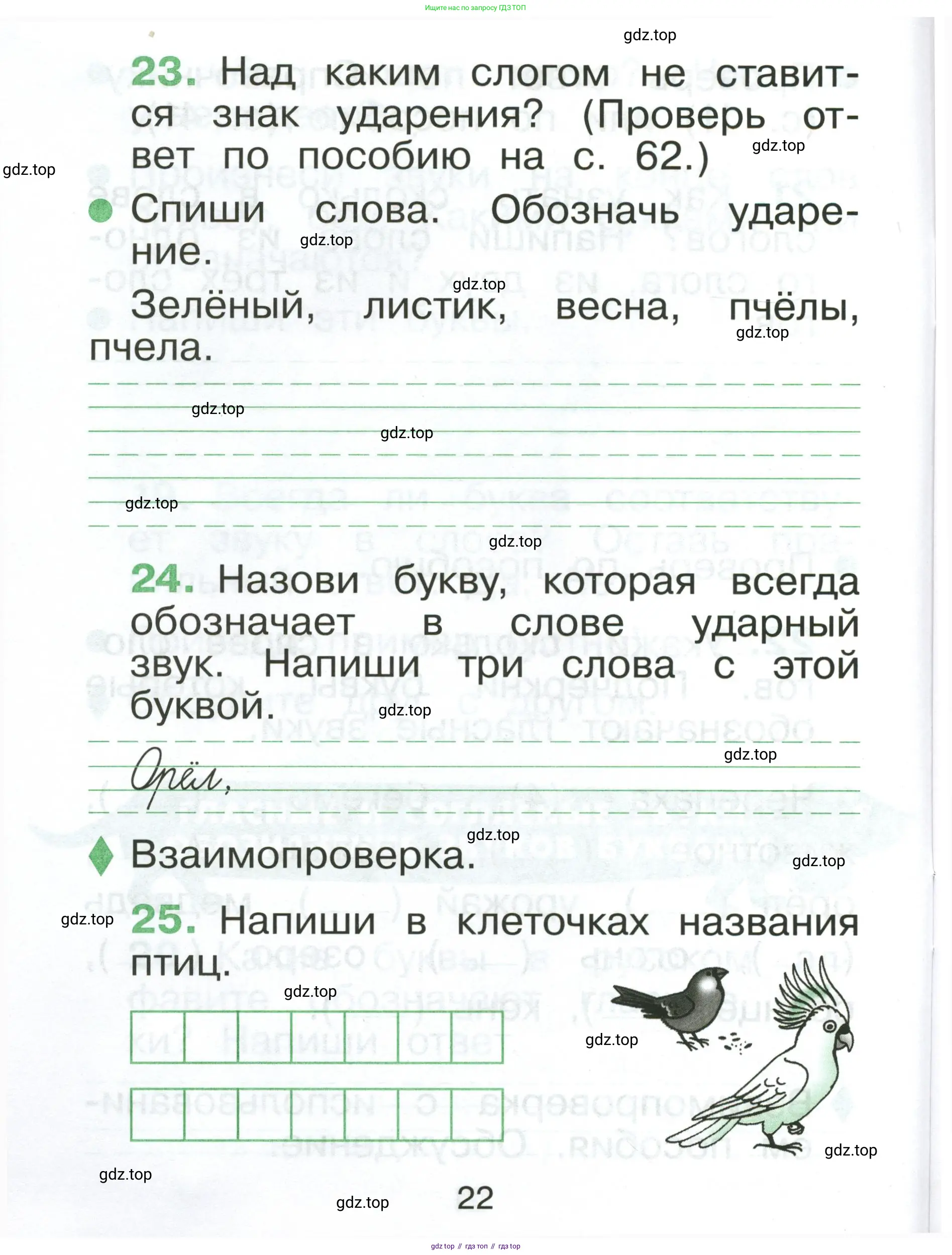 Русский язык, 1 класс рабочая тетрадь, авторы: Рамзаева Тамара Григорьевна, Савинкина Людмила Павловна, издательство Просвещение, Москва, 2023, зелёного цвета, страница 22