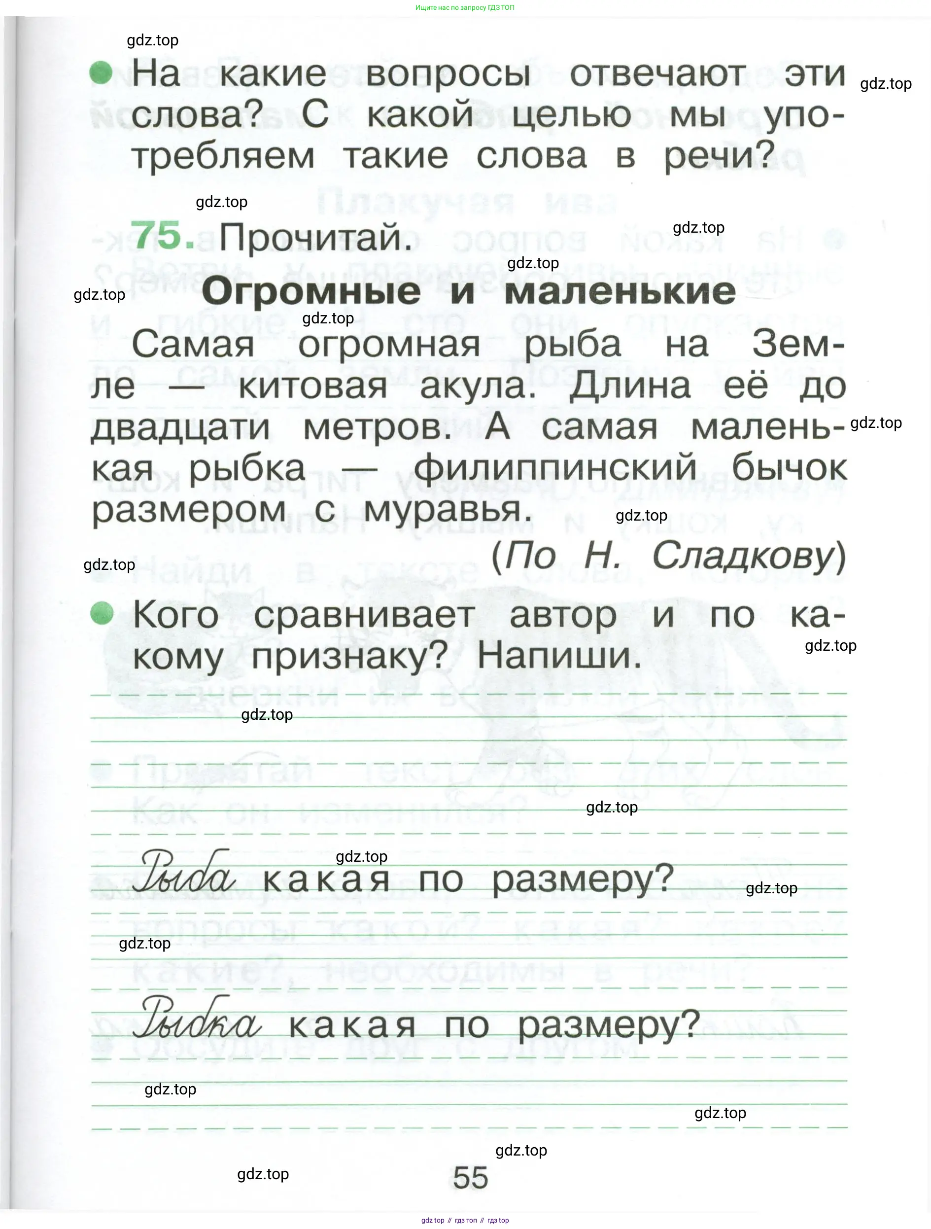 Русский язык, 1 класс рабочая тетрадь, авторы: Рамзаева Тамара Григорьевна, Савинкина Людмила Павловна, издательство Просвещение, Москва, 2023, зелёного цвета, страница 55