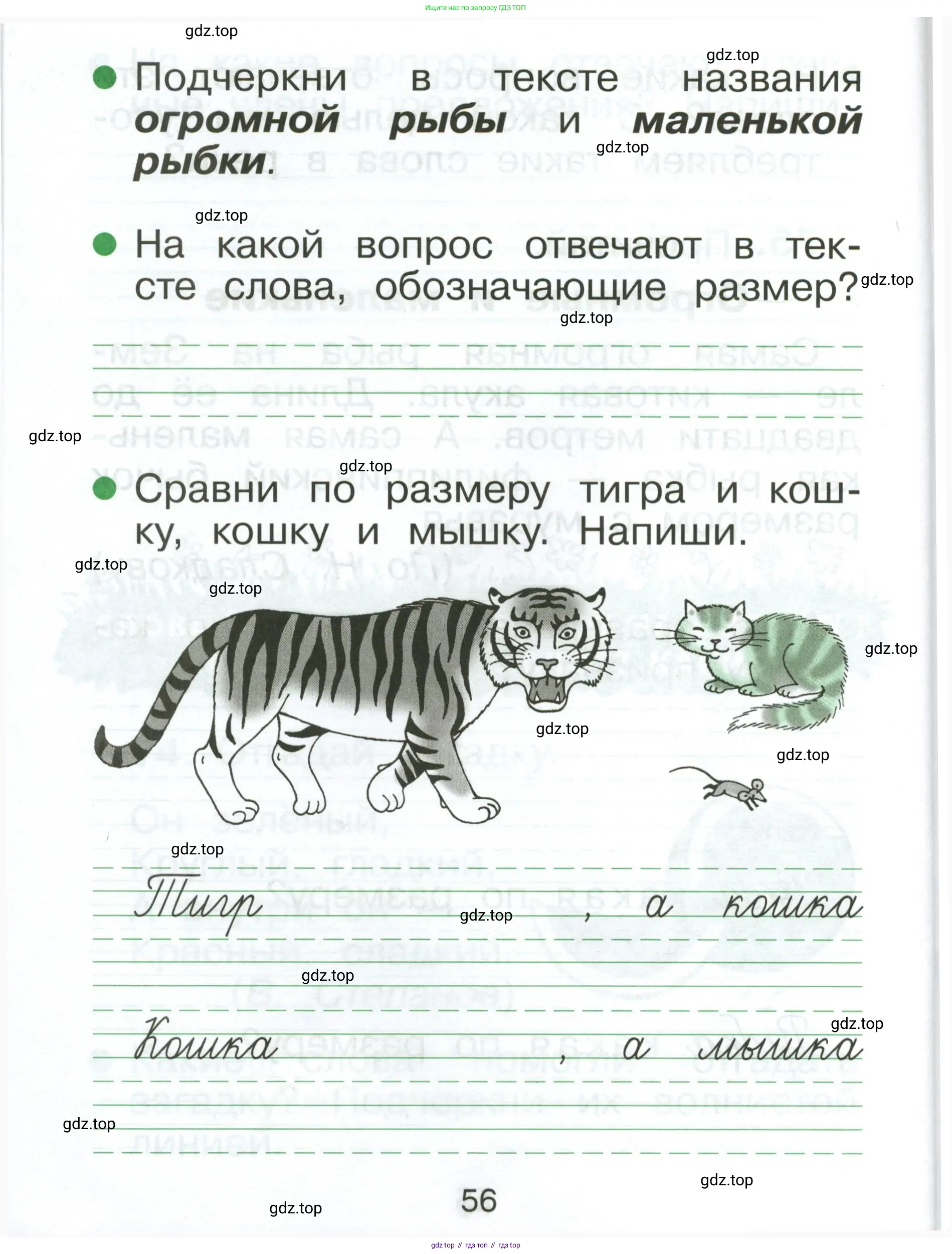 Русский язык, 1 класс рабочая тетрадь, авторы: Рамзаева Тамара Григорьевна, Савинкина Людмила Павловна, издательство Просвещение, Москва, 2023, зелёного цвета, страница 56