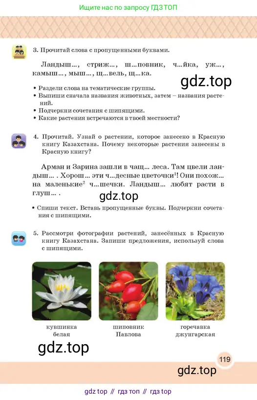 Русский язык, 2 класс Учебник, авторы: Аймаганбетова Зухра Кураниевна, Богатырёва Елена Васильевна, Бучина Раиса Александровна, Регель Надежда Васильевна, Труханова Ольга Ивановна, издательство Алматыкітап баспасы, Алматы, 2023, Часть 1, страница 119
