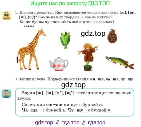 Русский язык, 2 класс Учебник, авторы: Аймаганбетова Зухра Кураниевна, Богатырёва Елена Васильевна, Бучина Раиса Александровна, Регель Надежда Васильевна, Труханова Ольга Ивановна, издательство Алматыкітап баспасы, Алматы, 2023, Часть 1, страница 56, номер 1, Условие