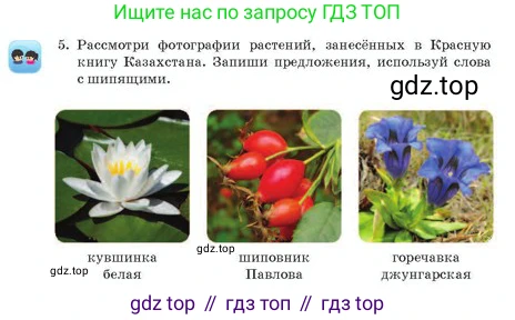 Русский язык, 2 класс Учебник, авторы: Аймаганбетова Зухра Кураниевна, Богатырёва Елена Васильевна, Бучина Раиса Александровна, Регель Надежда Васильевна, Труханова Ольга Ивановна, издательство Алматыкітап баспасы, Алматы, 2023, Часть 1, страница 119, номер 5, Условие