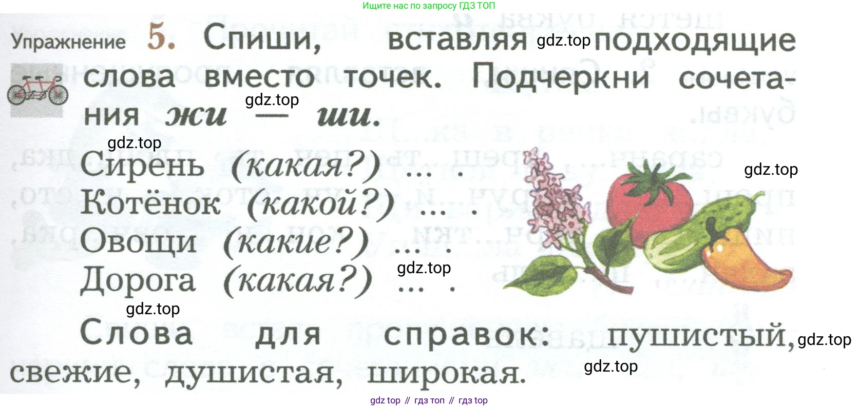 ГДЗ Русский язык, 2 класс Учебник, авторы: Иванов Станислав Викторович, Евдокимова Антонина Олеговна, Кузнецова Марина Ивановна, Петленко Лидия Владимировна, Романова Владислава Юрьевна, издательство Просвещение, Москва, 2023, Часть 1, страница 27, номер 5, Условие