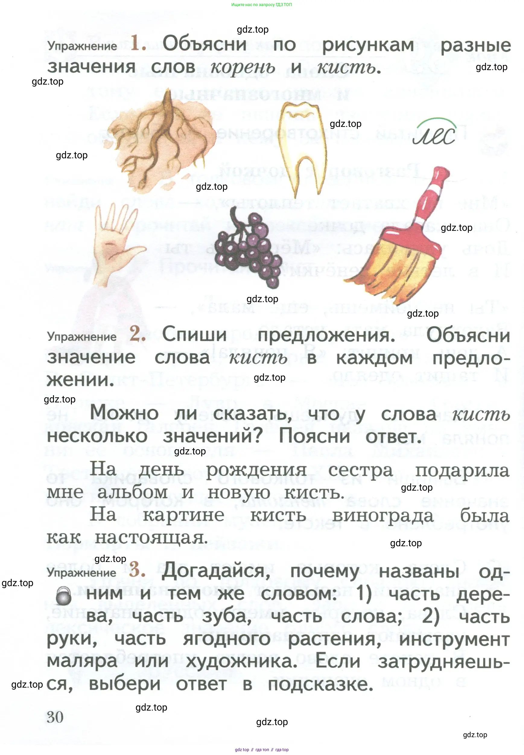 Русский язык, 2 класс Учебник, авторы: Иванов Станислав Викторович, Евдокимова Антонина Олеговна, Кузнецова Марина Ивановна, Петленко Лидия Владимировна, Романова Владислава Юрьевна, издательство Просвещение, Москва, 2023, Часть 1, страница 30