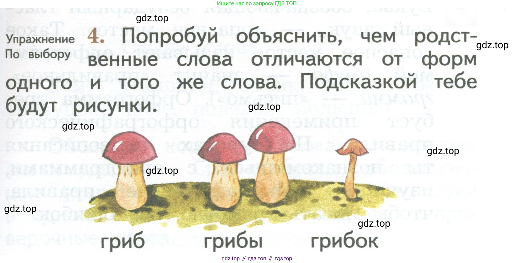 ГДЗ Русский язык, 2 класс Учебник, авторы: Иванов Станислав Викторович, Евдокимова Антонина Олеговна, Кузнецова Марина Ивановна, Петленко Лидия Владимировна, Романова Владислава Юрьевна, издательство Просвещение, Москва, 2023, Часть 1, страница 75, номер 4, Условие