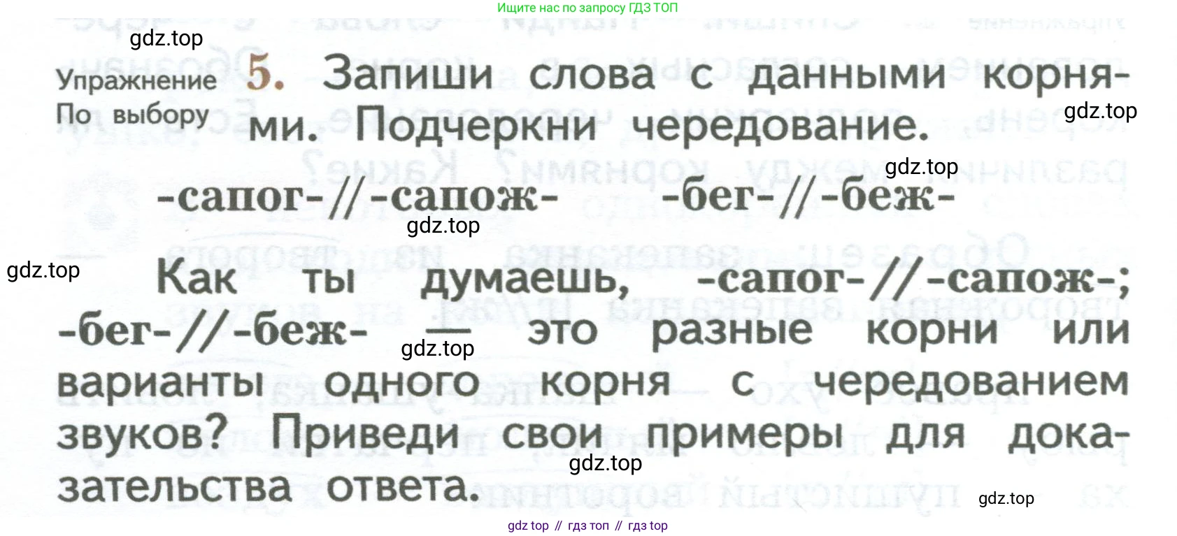 ГДЗ Русский язык, 2 класс Учебник, авторы: Иванов Станислав Викторович, Евдокимова Антонина Олеговна, Кузнецова Марина Ивановна, Петленко Лидия Владимировна, Романова Владислава Юрьевна, издательство Просвещение, Москва, 2023, Часть 1, страница 104, номер 5, Условие