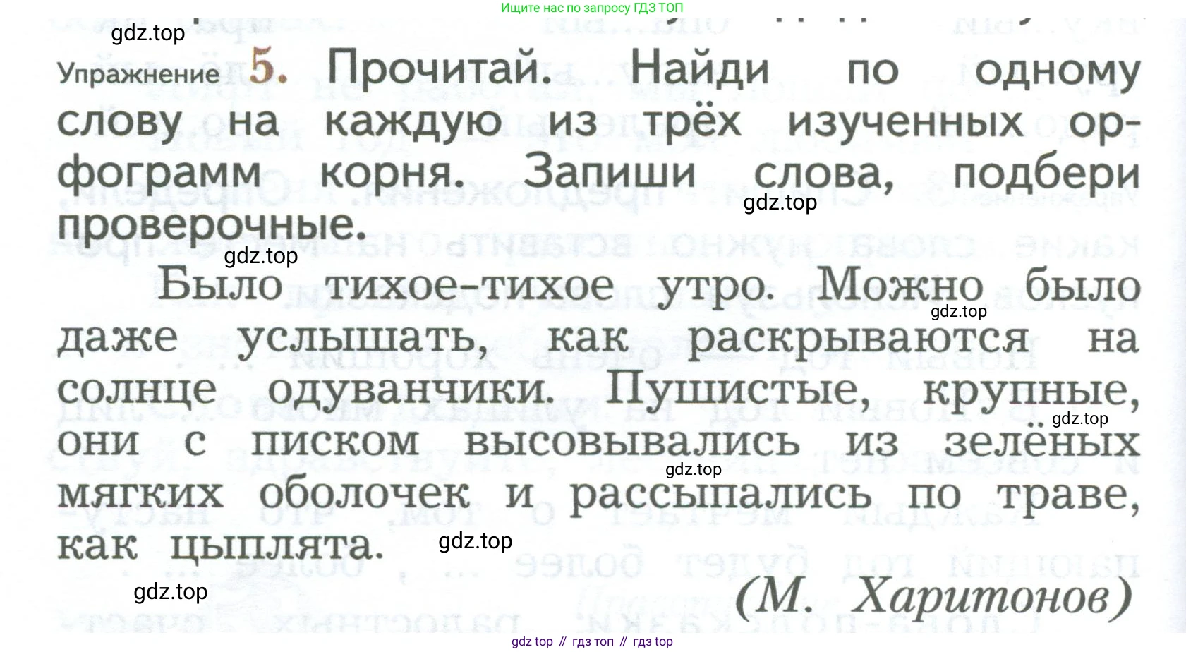 ГДЗ Русский язык, 2 класс Учебник, авторы: Иванов Станислав Викторович, Евдокимова Антонина Олеговна, Кузнецова Марина Ивановна, Петленко Лидия Владимировна, Романова Владислава Юрьевна, издательство Просвещение, Москва, 2023, Часть 1, страница 126, номер 5, Условие