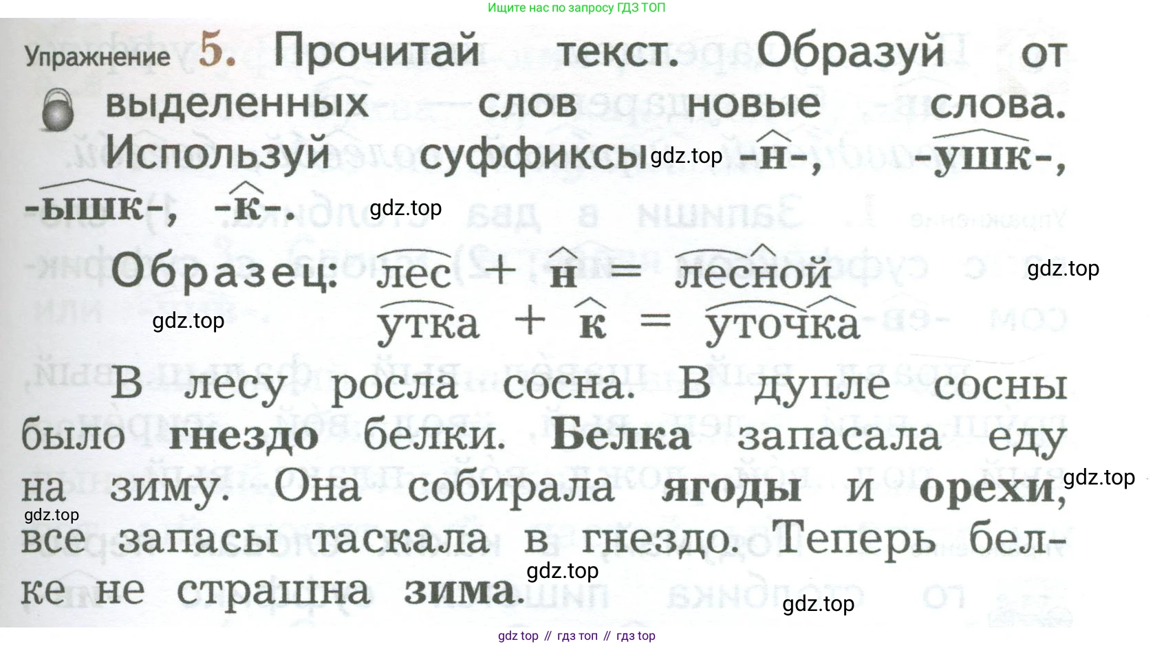 ГДЗ Русский язык, 2 класс Учебник, авторы: Иванов Станислав Викторович, Евдокимова Антонина Олеговна, Кузнецова Марина Ивановна, Петленко Лидия Владимировна, Романова Владислава Юрьевна, издательство Просвещение, Москва, 2023, Часть 1, страница 143, номер 5, Условие