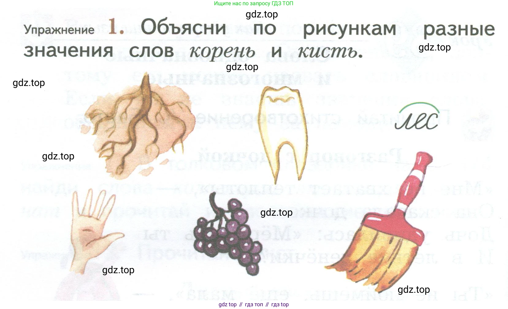 ГДЗ Русский язык, 2 класс Учебник, авторы: Иванов Станислав Викторович, Евдокимова Антонина Олеговна, Кузнецова Марина Ивановна, Петленко Лидия Владимировна, Романова Владислава Юрьевна, издательство Просвещение, Москва, 2023, Часть 2, страница 30, номер 1, Условие