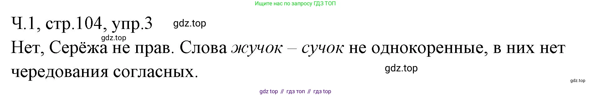 ГДЗ Русский язык, 2 класс Учебник, авторы: Иванов Станислав Викторович, Евдокимова Антонина Олеговна, Кузнецова Марина Ивановна, Петленко Лидия Владимировна, Романова Владислава Юрьевна, издательство Просвещение, Москва, 2023, Часть 1, страница 104, номер 3, Решение