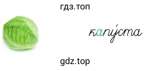 Что значит слово кок?