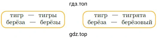 В чём сходство и различие в лексическом значении пар слов каждой группы?