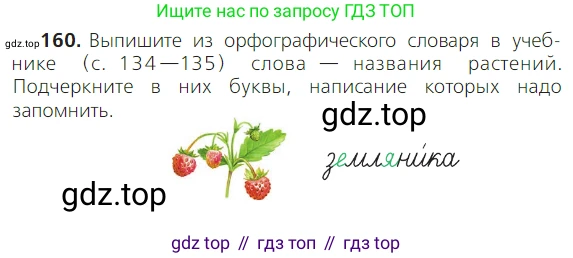 ГДЗ Русский язык, 2 класс Учебник, авторы: Канакина Валентина Павловна, Горецкий Всеслав Гаврилович, издательство Просвещение, Москва, 2023, белого цвета, Часть 1, страница 104, номер 160, Условие