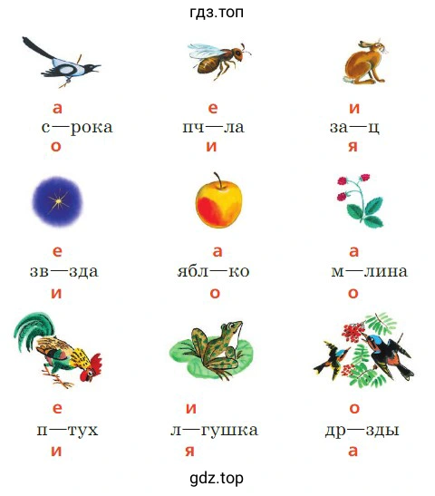 В чём заключается орфографическая задача