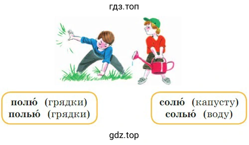 Чем различается написание слов полю и полью, солю и солью?