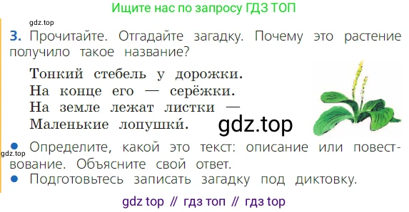 ГДЗ Русский язык, 2 класс Учебник, авторы: Канакина Валентина Павловна, Горецкий Всеслав Гаврилович, издательство Просвещение, Москва, 2023, белого цвета, Часть 2, страница 97, Условие