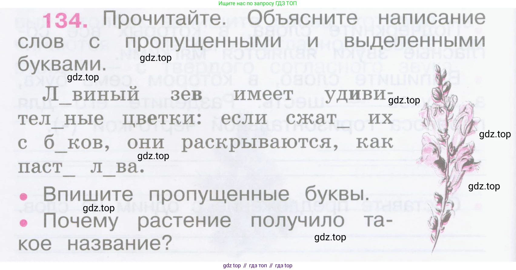 Русский язык, 2 класс рабочая тетрадь, автор: Канакина Валентина Павловна, издательство Просвещение, Москва, 2023, белого цвета, Часть 1, страница 60, номер 134, Условие