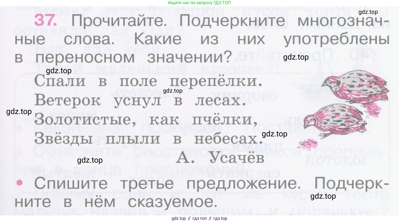 Русский язык, 2 класс рабочая тетрадь, автор: Канакина Валентина Павловна, издательство Просвещение, Москва, 2023, белого цвета, Часть 1, страница 19, номер 37, Условие