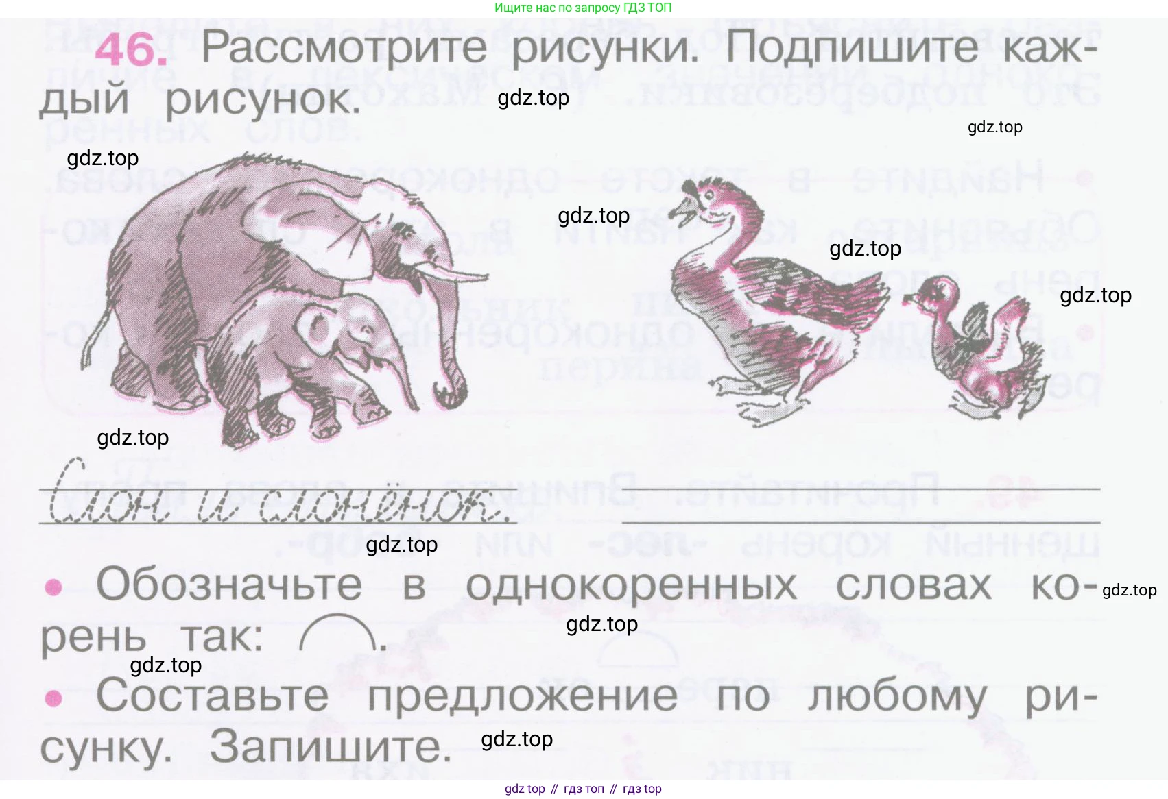 Русский язык, 2 класс рабочая тетрадь, автор: Канакина Валентина Павловна, издательство Просвещение, Москва, 2023, белого цвета, Часть 1, страница 23, номер 46, Условие