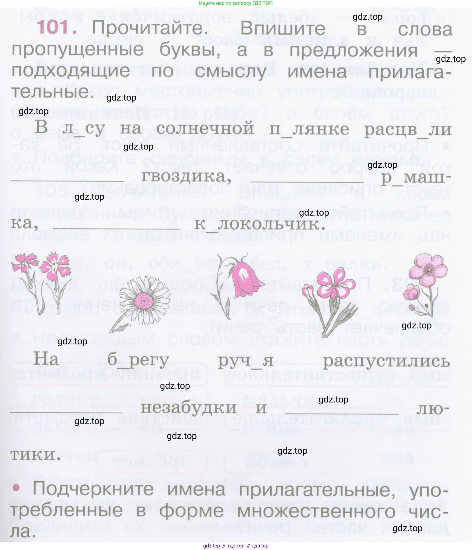 Русский язык, 2 класс рабочая тетрадь, автор: Канакина Валентина Павловна, издательство Просвещение, Москва, 2023, белого цвета, Часть 2, страница 47, номер 101, Условие