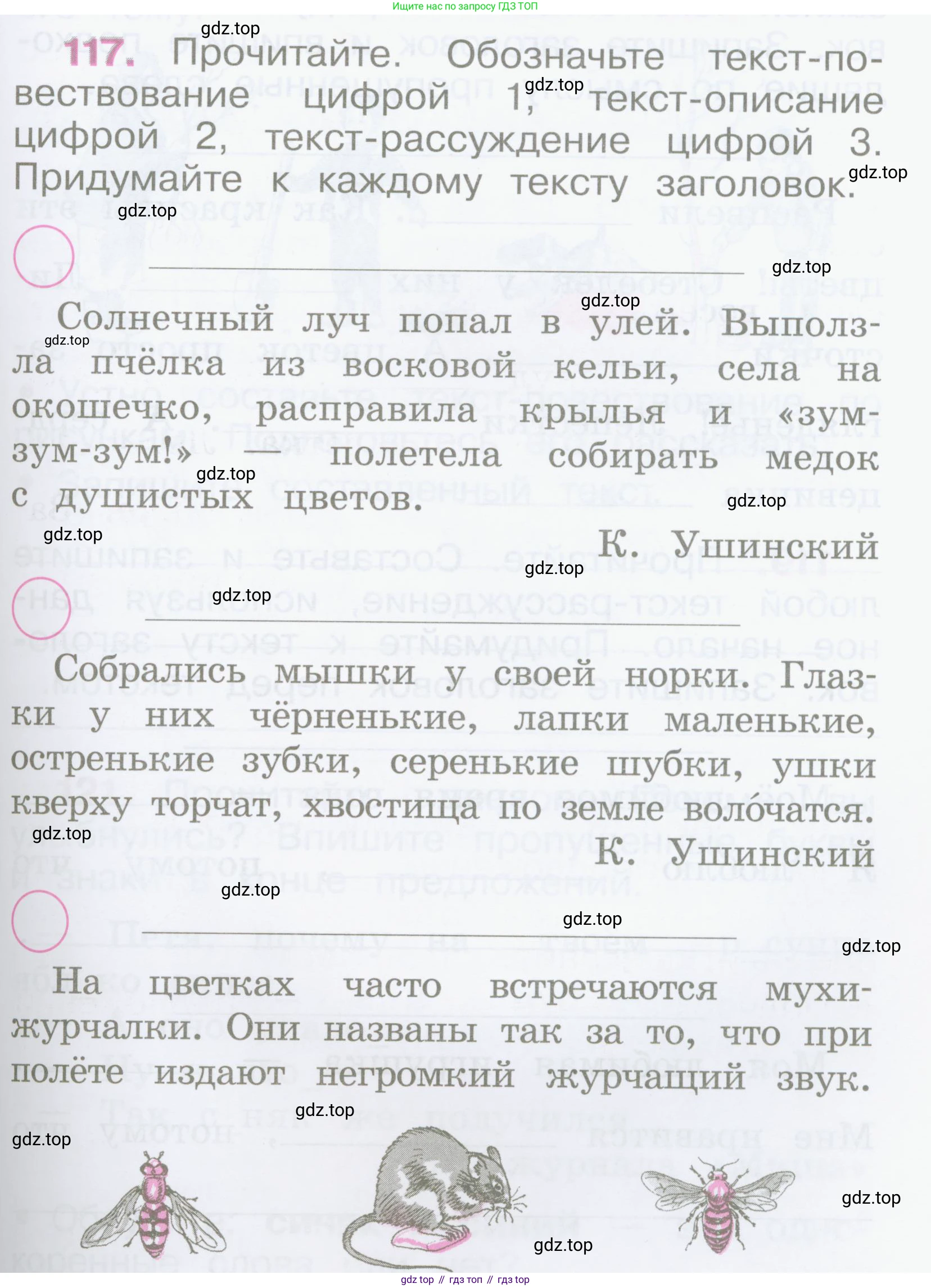 Русский язык, 2 класс рабочая тетрадь, автор: Канакина Валентина Павловна, издательство Просвещение, Москва, 2023, белого цвета, Часть 2, страница 55, Условие