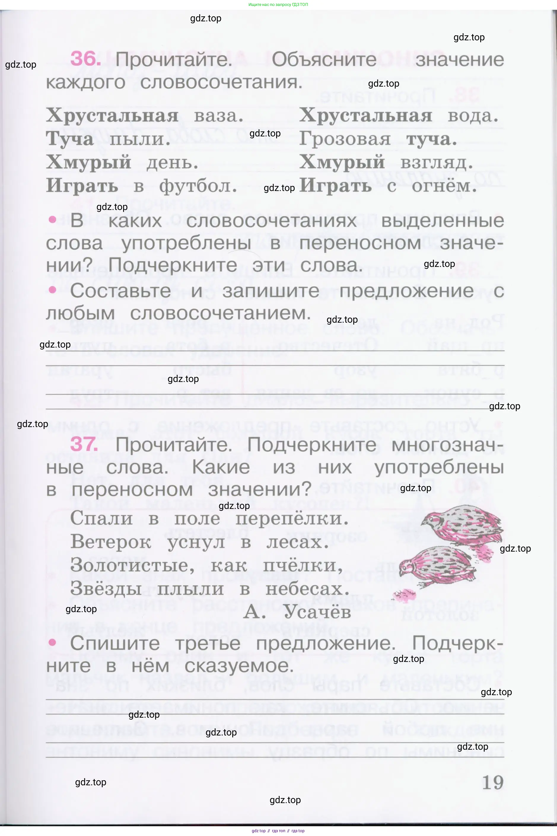Русский язык, 2 класс рабочая тетрадь, автор: Канакина Валентина Павловна, издательство Просвещение, Москва, 2023, белого цвета, Часть 1, страница 19