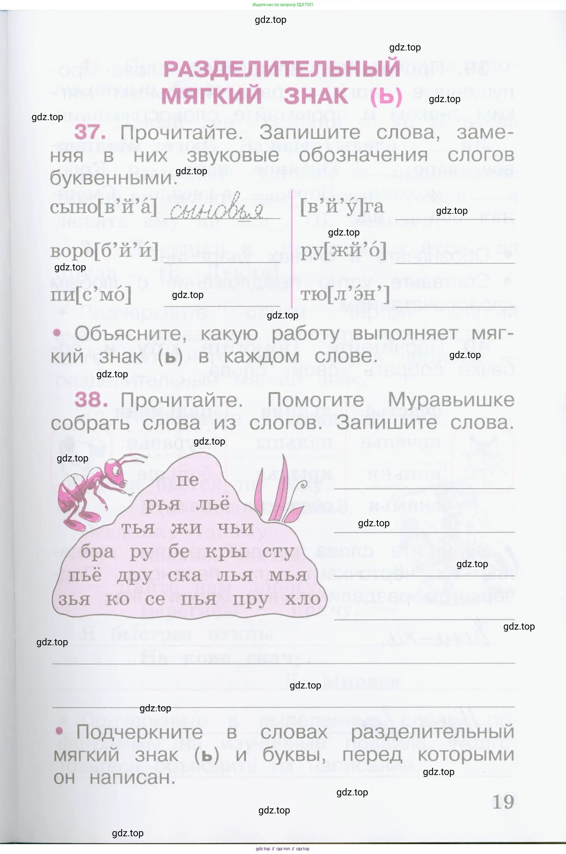 Русский язык, 2 класс рабочая тетрадь, автор: Канакина Валентина Павловна, издательство Просвещение, Москва, 2023, белого цвета, Часть 1, страница 19
