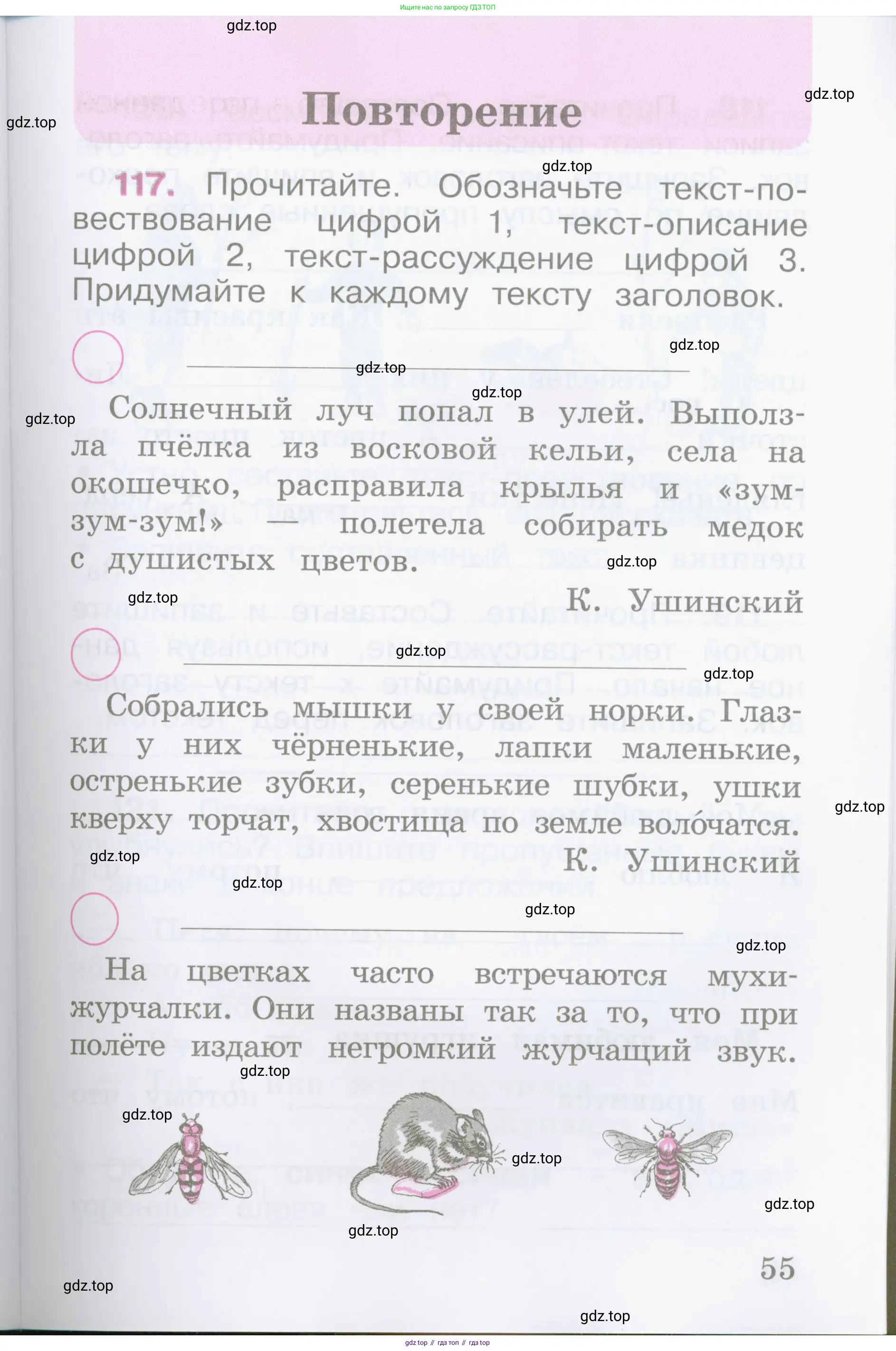 Русский язык, 2 класс рабочая тетрадь, автор: Канакина Валентина Павловна, издательство Просвещение, Москва, 2023, белого цвета, Часть 1, страница 55