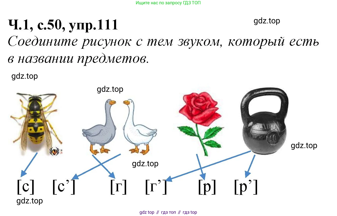 Русский язык, 2 класс рабочая тетрадь, автор: Канакина Валентина Павловна, издательство Просвещение, Москва, 2023, белого цвета, Часть 1, страница 50, номер 111, Решение