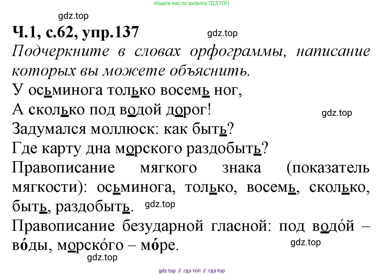 Русский язык, 2 класс рабочая тетрадь, автор: Канакина Валентина Павловна, издательство Просвещение, Москва, 2023, белого цвета, Часть 1, страница 62, номер 137, Решение