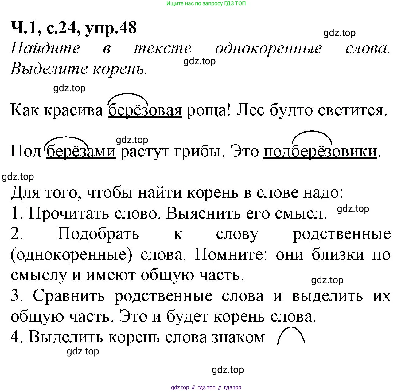 Русский язык, 2 класс рабочая тетрадь, автор: Канакина Валентина Павловна, издательство Просвещение, Москва, 2023, белого цвета, Часть 1, страница 24, номер 48, Решение