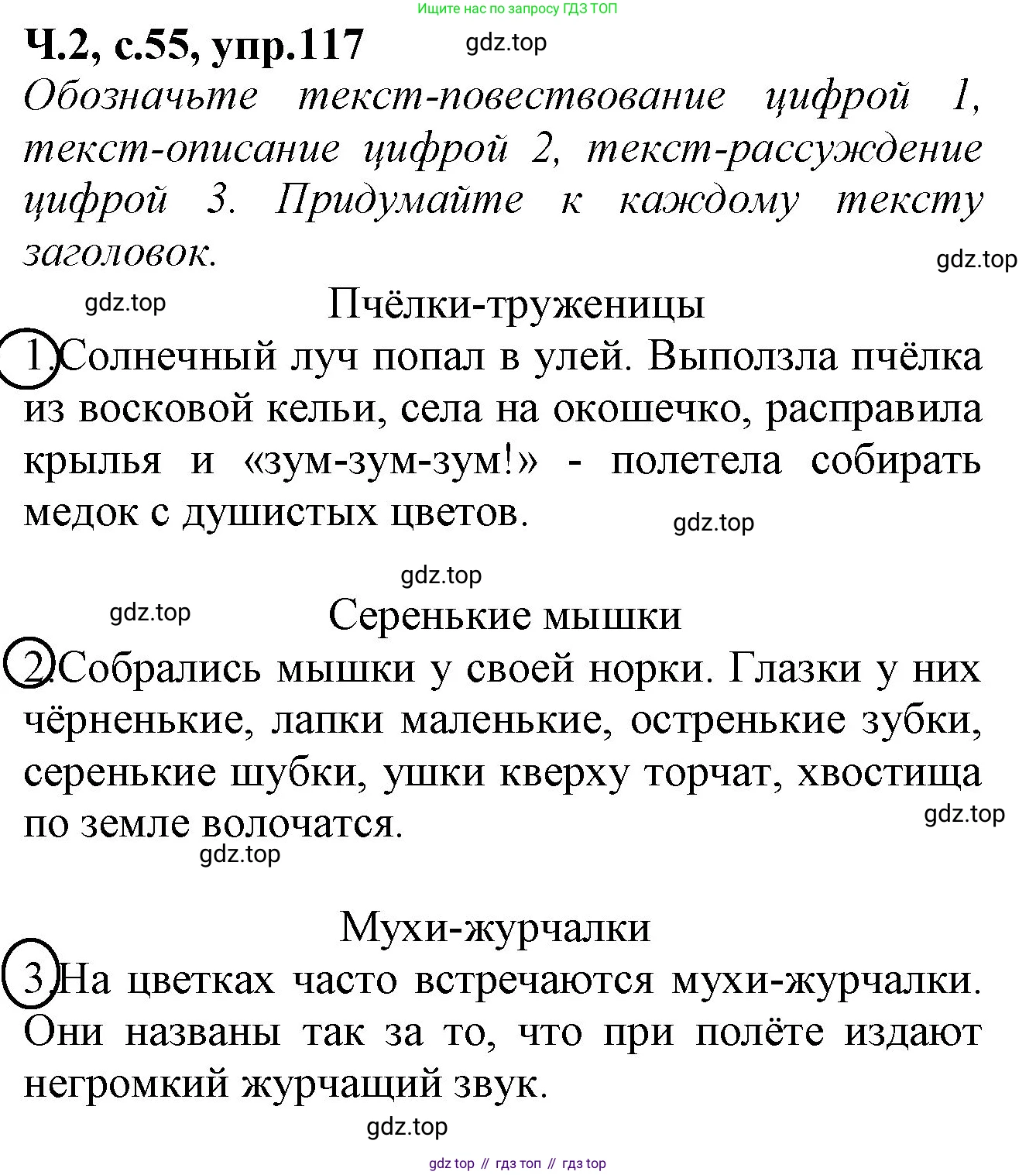 Русский язык, 2 класс рабочая тетрадь, автор: Канакина Валентина Павловна, издательство Просвещение, Москва, 2023, белого цвета, Часть 2, страница 55, Решение