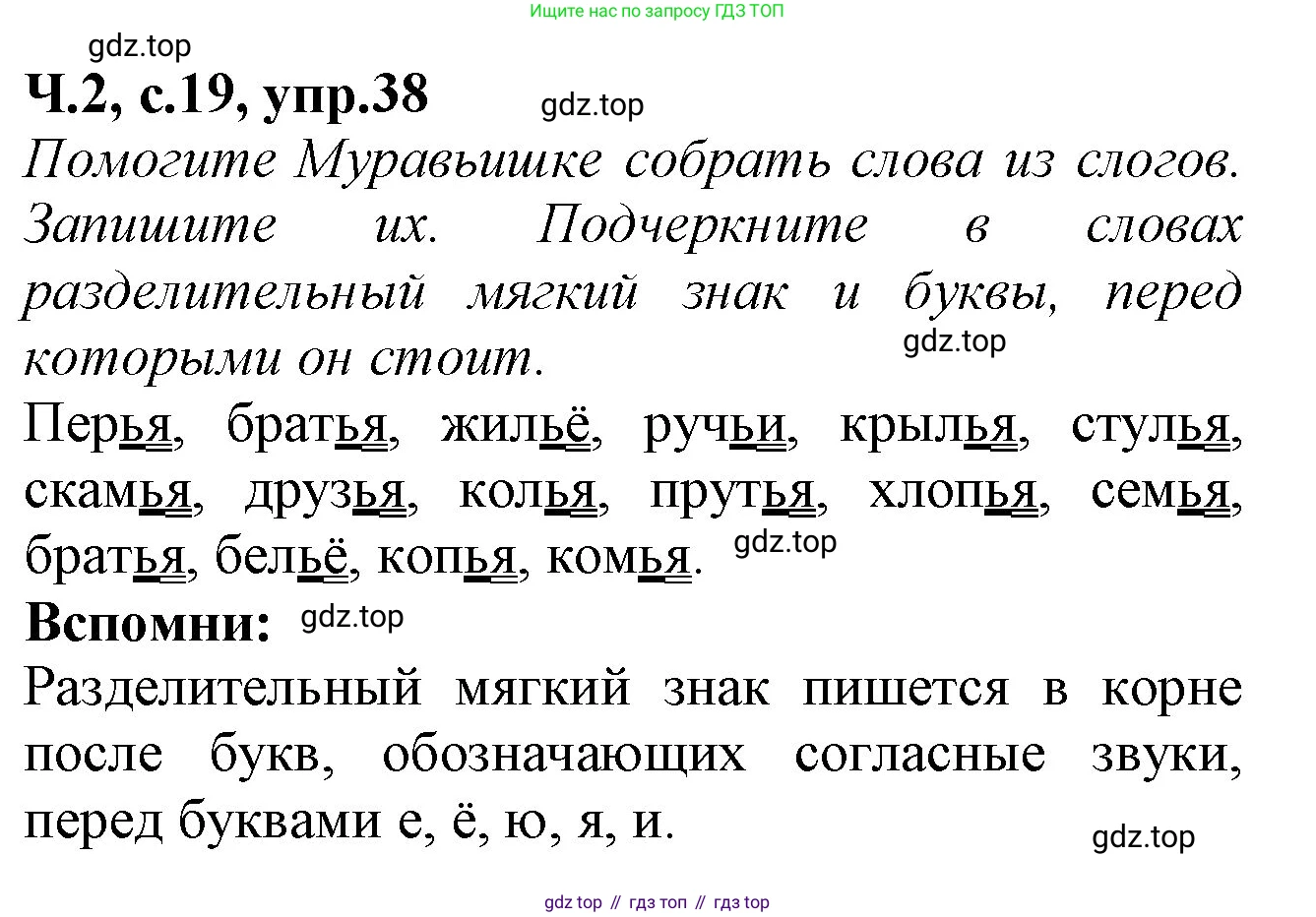 Русский язык, 2 класс рабочая тетрадь, автор: Канакина Валентина Павловна, издательство Просвещение, Москва, 2023, белого цвета, Часть 2, страница 19, номер 38, Решение