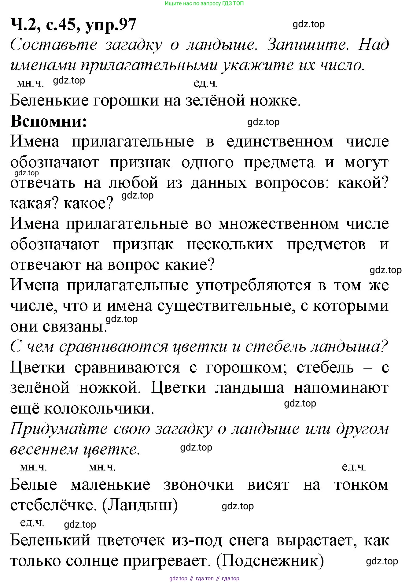 Русский язык, 2 класс рабочая тетрадь, автор: Канакина Валентина Павловна, издательство Просвещение, Москва, 2023, белого цвета, Часть 2, страница 45, номер 97, Решение