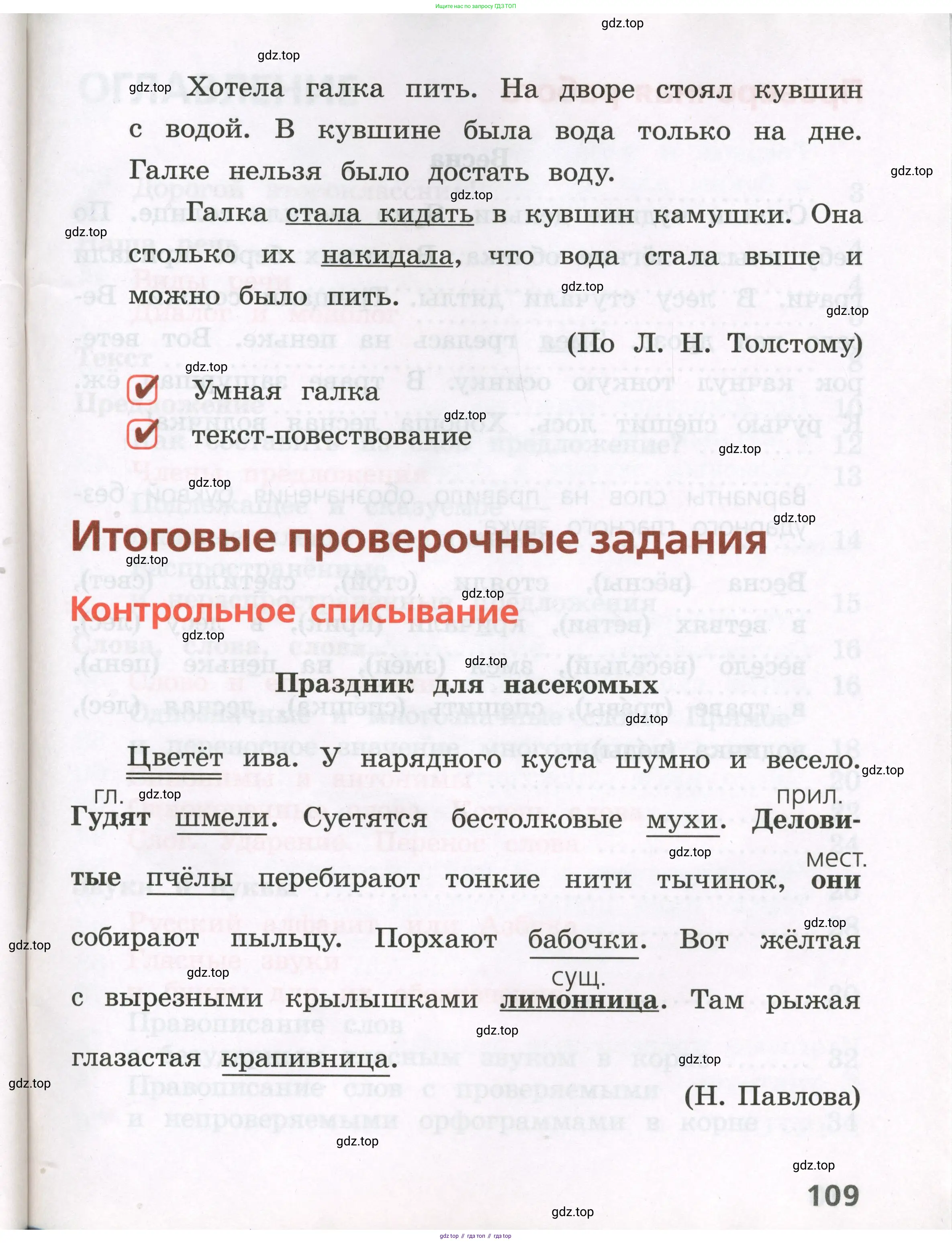 Русский язык, 2 класс Тетрадь учебных достижений, автор: Канакина Валентина Павловна, издательство Просвещение, Москва, 2023, белого цвета, страница 109