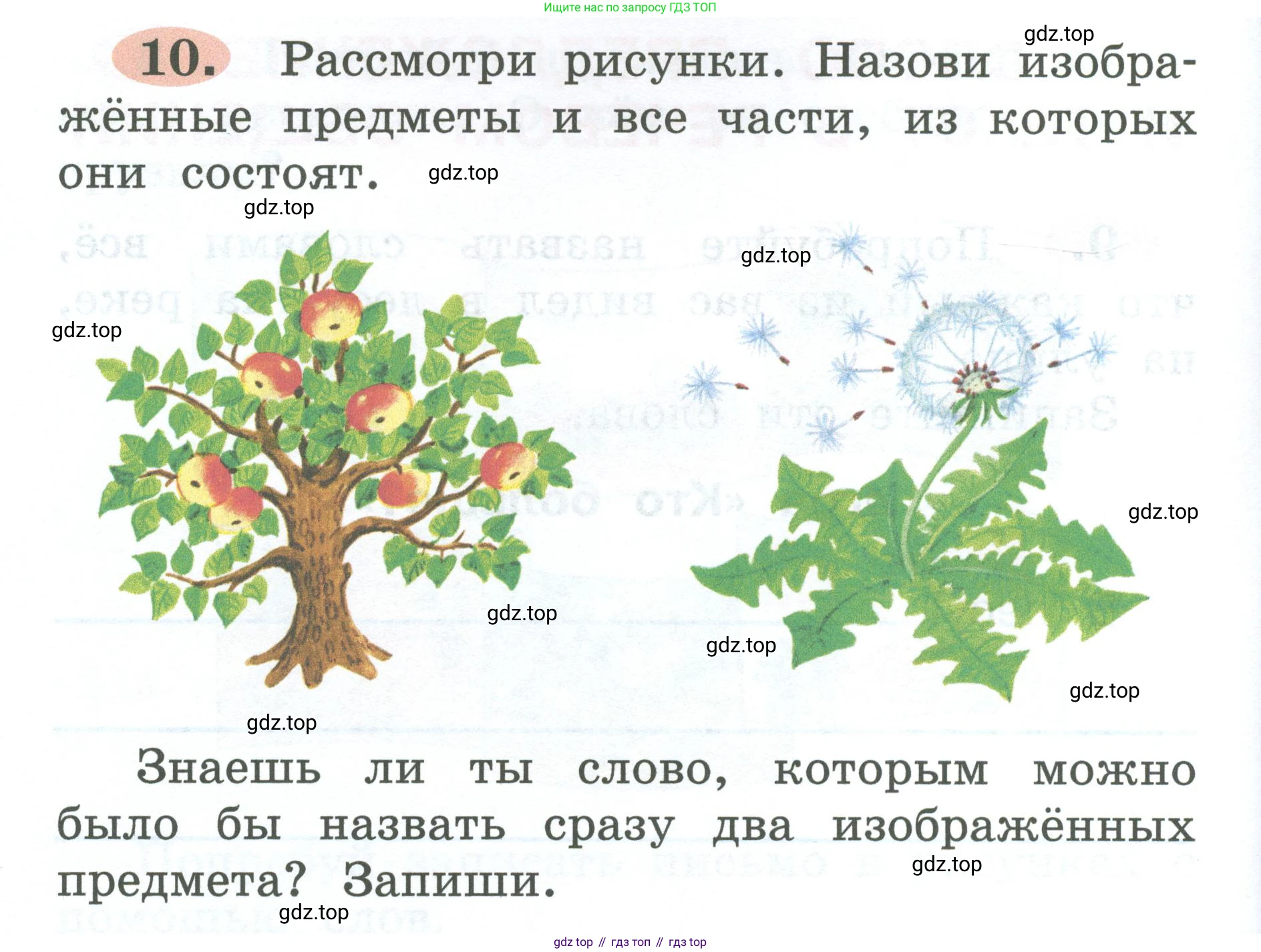 ГДЗ Русский язык, 2 класс рабочая тетрадь, авторы: Климанова Людмила Федоровна, Бабушкина Татьяна Владимировна, издательство Просвещение, Москва, 2024, белого цвета, Часть 1, страница 8, номер 10, Условие