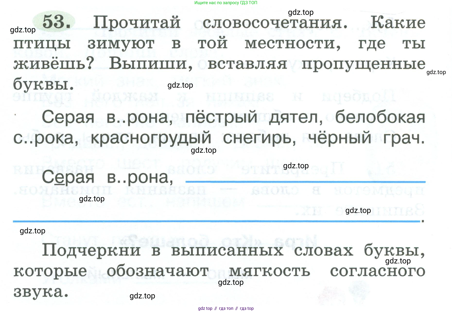 ГДЗ Русский язык, 2 класс рабочая тетрадь, авторы: Климанова Людмила Федоровна, Бабушкина Татьяна Владимировна, издательство Просвещение, Москва, 2024, белого цвета, Часть 1, страница 28, номер 53, Условие