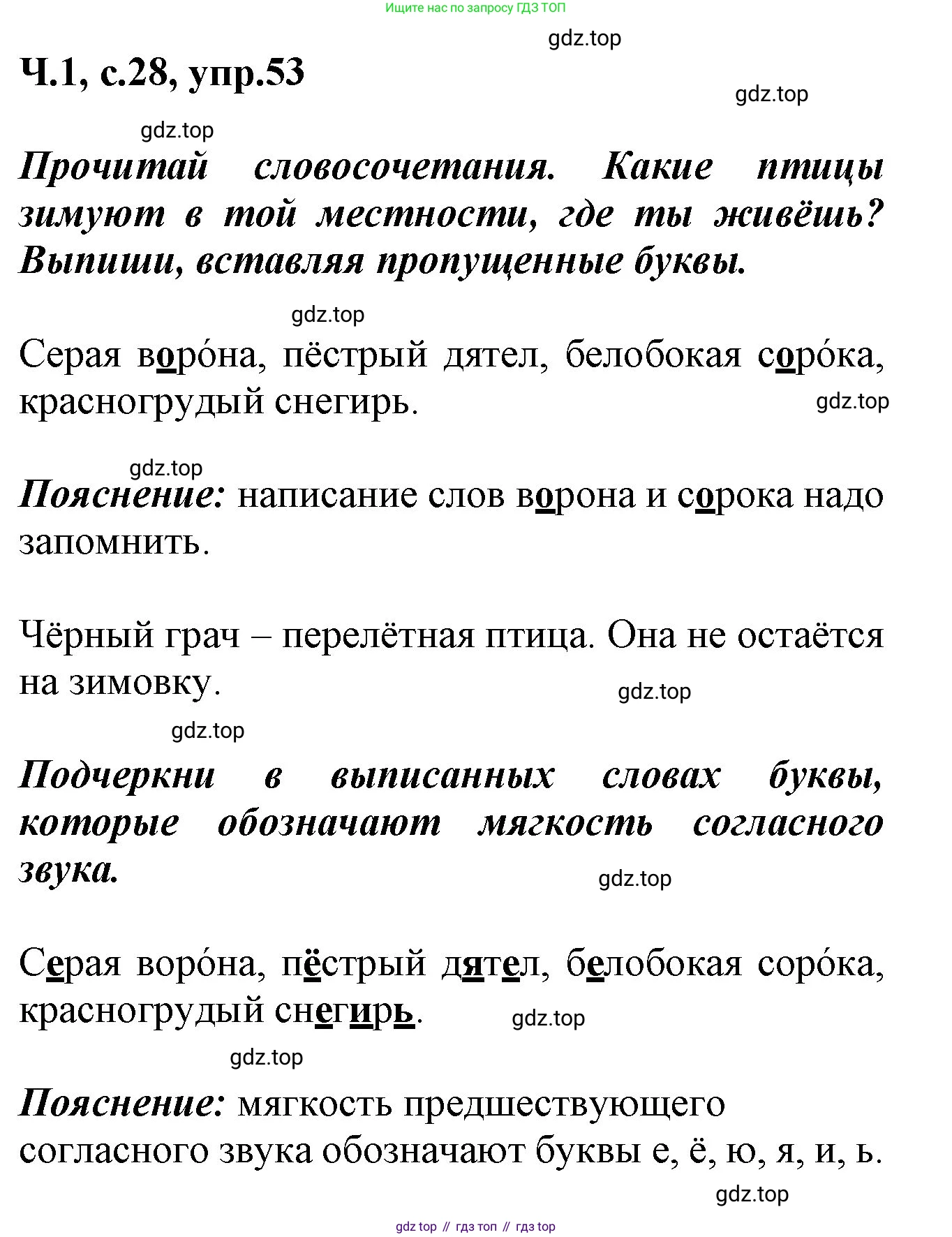 ГДЗ Русский язык, 2 класс рабочая тетрадь, авторы: Климанова Людмила Федоровна, Бабушкина Татьяна Владимировна, издательство Просвещение, Москва, 2024, белого цвета, Часть 1, страница 28, номер 53, Решение