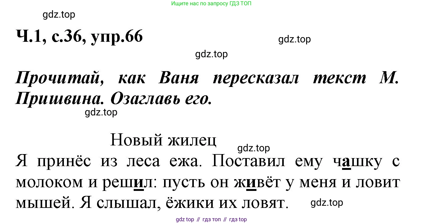 ГДЗ Русский язык, 2 класс рабочая тетрадь, авторы: Климанова Людмила Федоровна, Бабушкина Татьяна Владимировна, издательство Просвещение, Москва, 2024, белого цвета, Часть 1, страница 36, номер 66, Решение