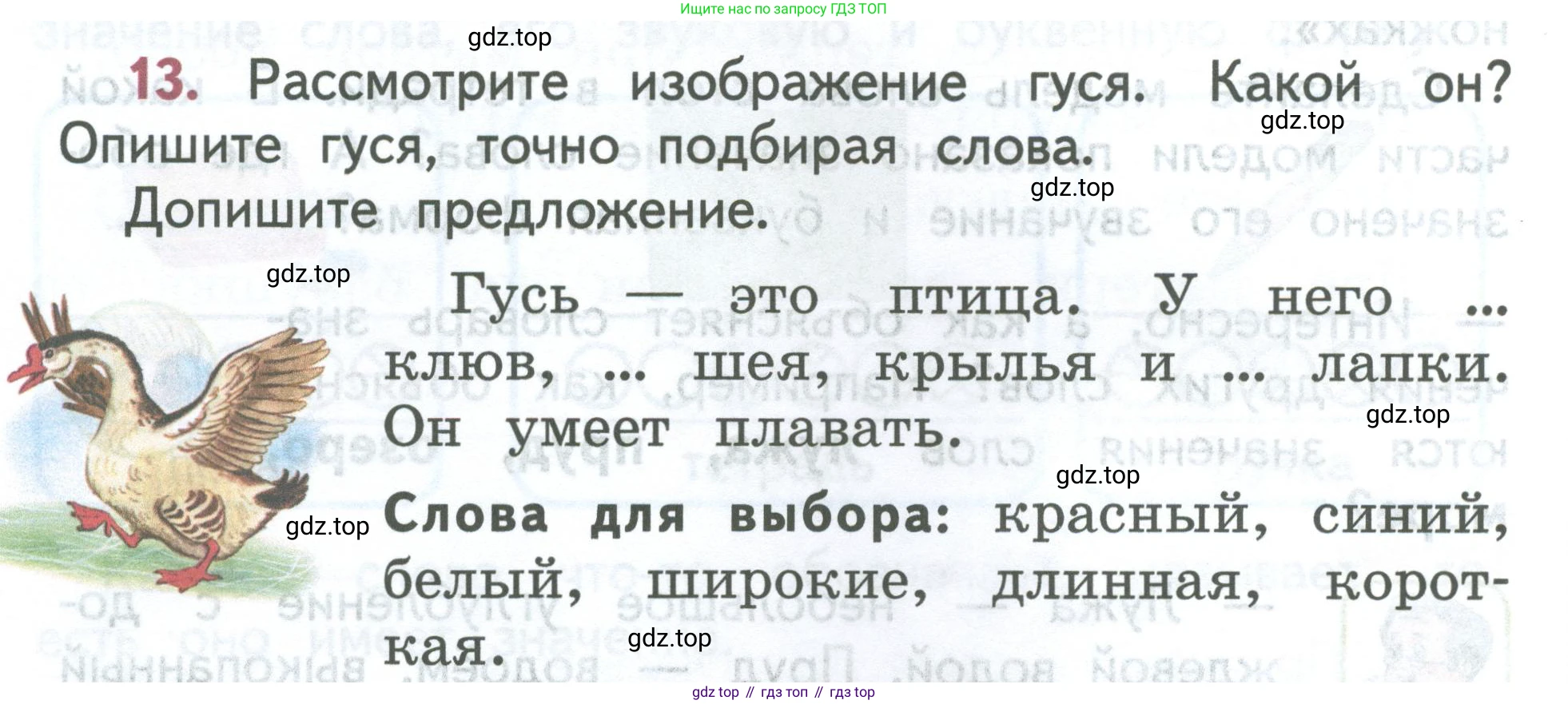 ГДЗ Русский язык, 2 класс Учебник, авторы: Климанова Людмила Федоровна, Бабушкина Татьяна Владимировна, издательство Просвещение, Москва, 2023, белого цвета, Часть 2, страница 10, номер 13, Условие