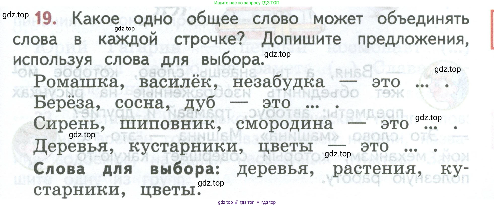 ГДЗ Русский язык, 2 класс Учебник, авторы: Климанова Людмила Федоровна, Бабушкина Татьяна Владимировна, издательство Просвещение, Москва, 2023, белого цвета, Часть 2, страница 13, номер 19, Условие